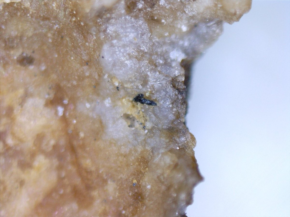 KolTolspmin's tweet photo. Bassoite
Molinello Mine, Ne, Liguria, Italy
FOV 3mm

Mn鉱物を含むオレンジ色の母岩に伴う小さな黒い結晶が本鉱です。とても小さいですが自形結晶を成しています。組成はSrV3O7・4H2O。1986年にごく僅かな量が発見されて以降、一度も発見されていない希少な鉱物です。Holotype標本の一部。 https://t.co/AowmeXjRTJ