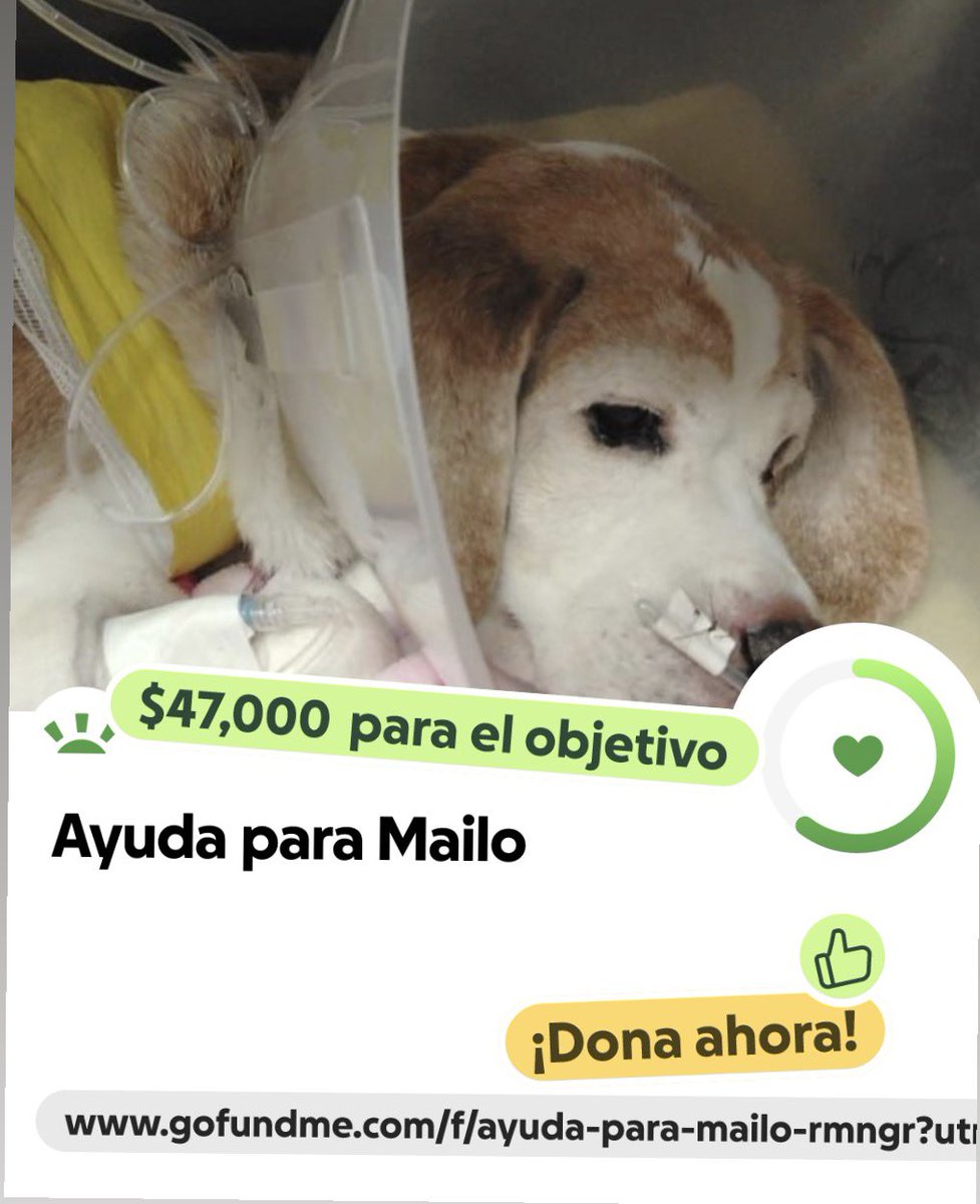 gofund.me/f103a81eb
