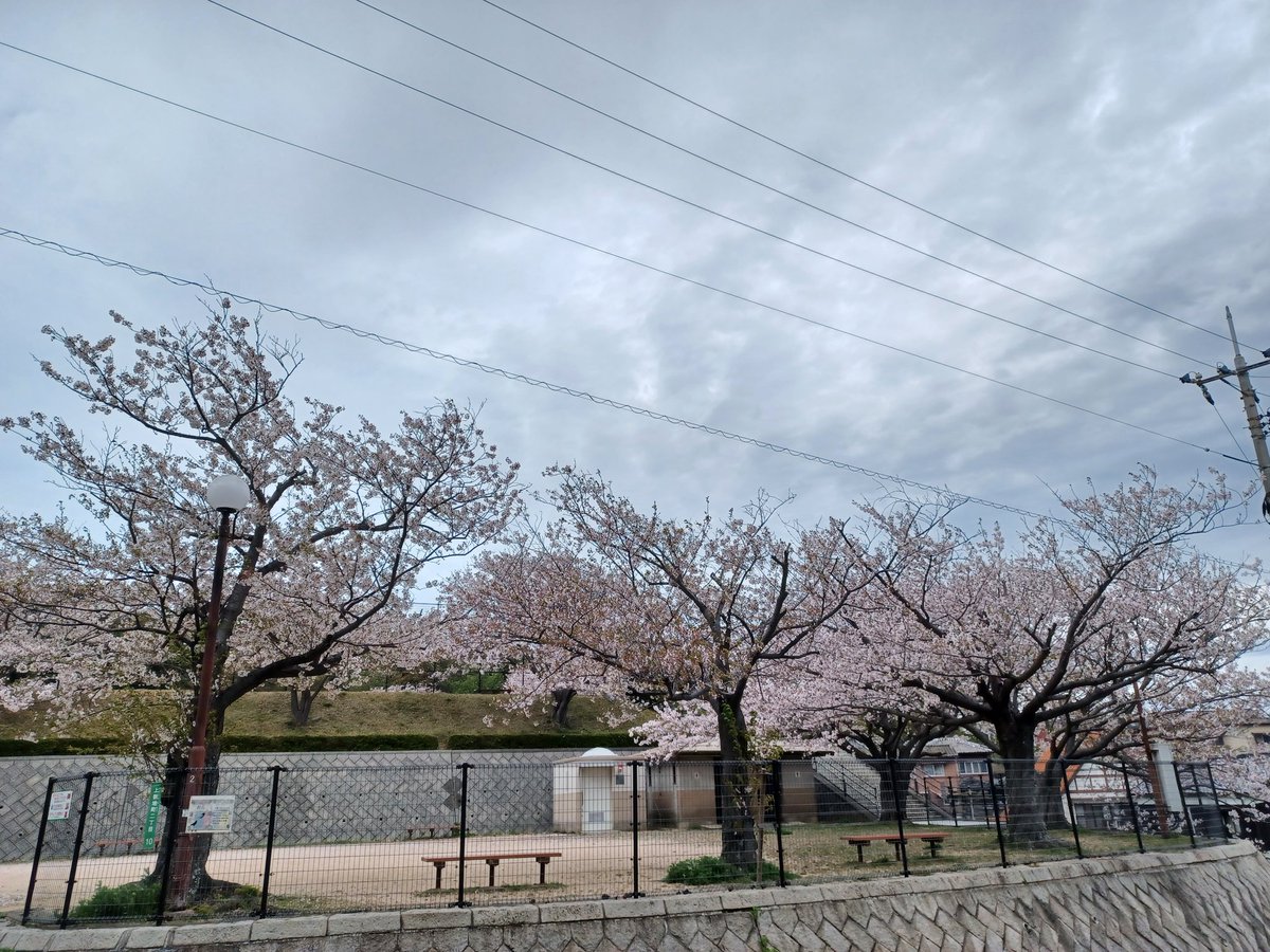 藤島 武士 tweet media