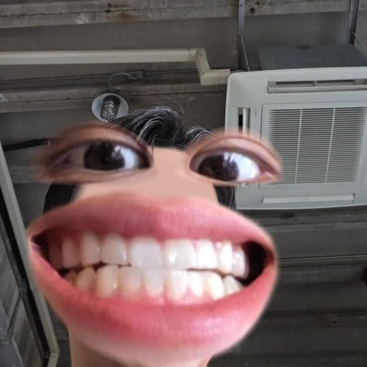 skiwongravai tweet media