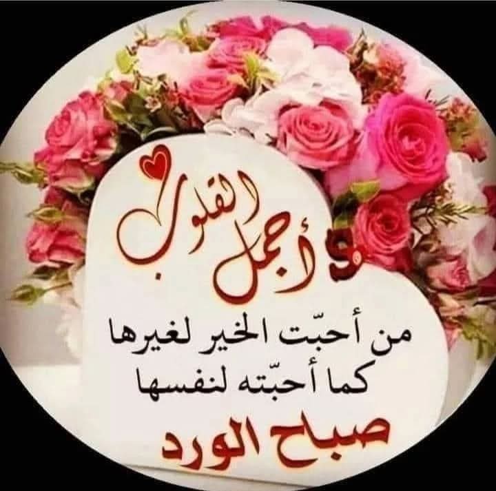 MHadheri's tweet photo. @saharoniment
صباح الخير 💐☕♥️🕊️🥀🙏💌✋💞 https://t.co/HwethL3txb