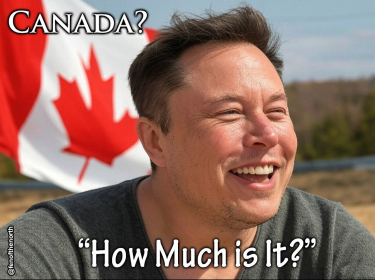 Liberty girl 🇺🇸🦅🇨🇦 tweet media