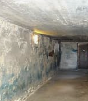 00Plays Games tweet media