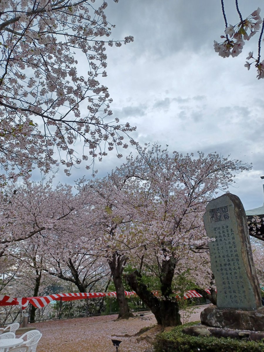 藤島 武士 tweet media