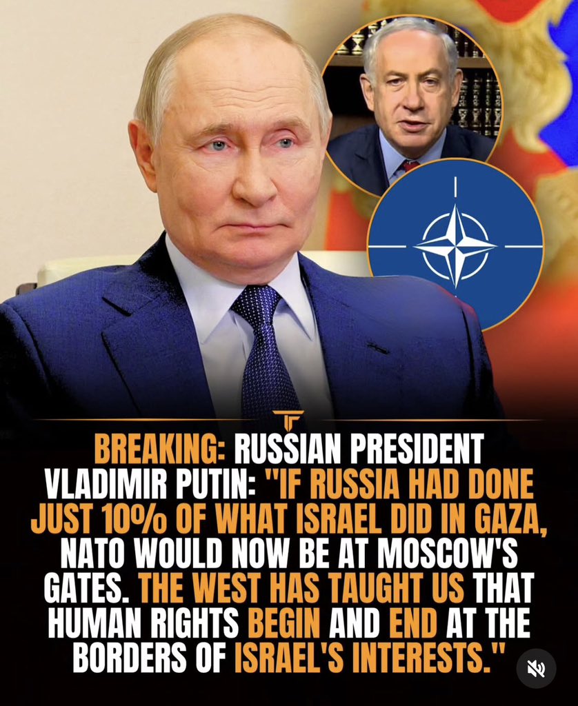therreebee's tweet photo. what fucking world am i living in that im on the side of vladimir putin and kim jong un https://t.co/XC53lCGC8g