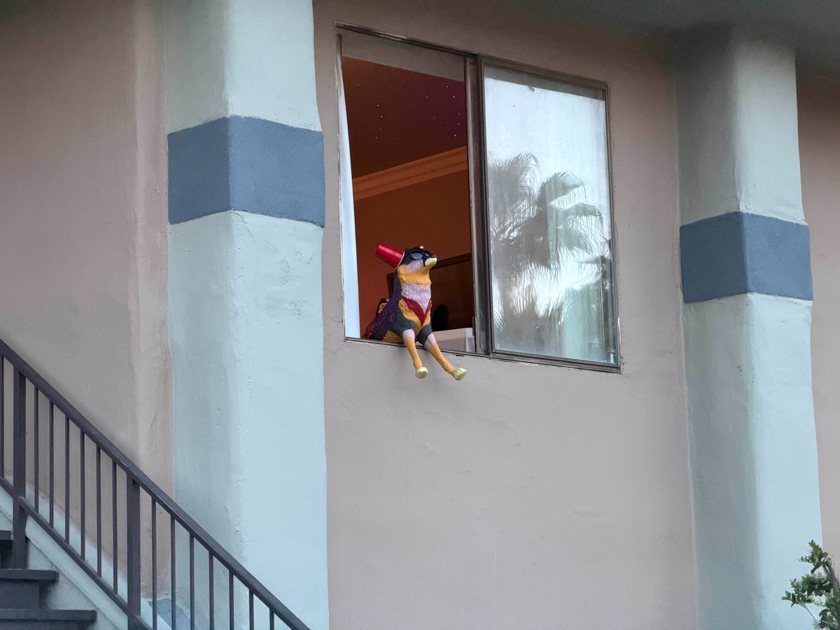 Finn the Panther tweet media