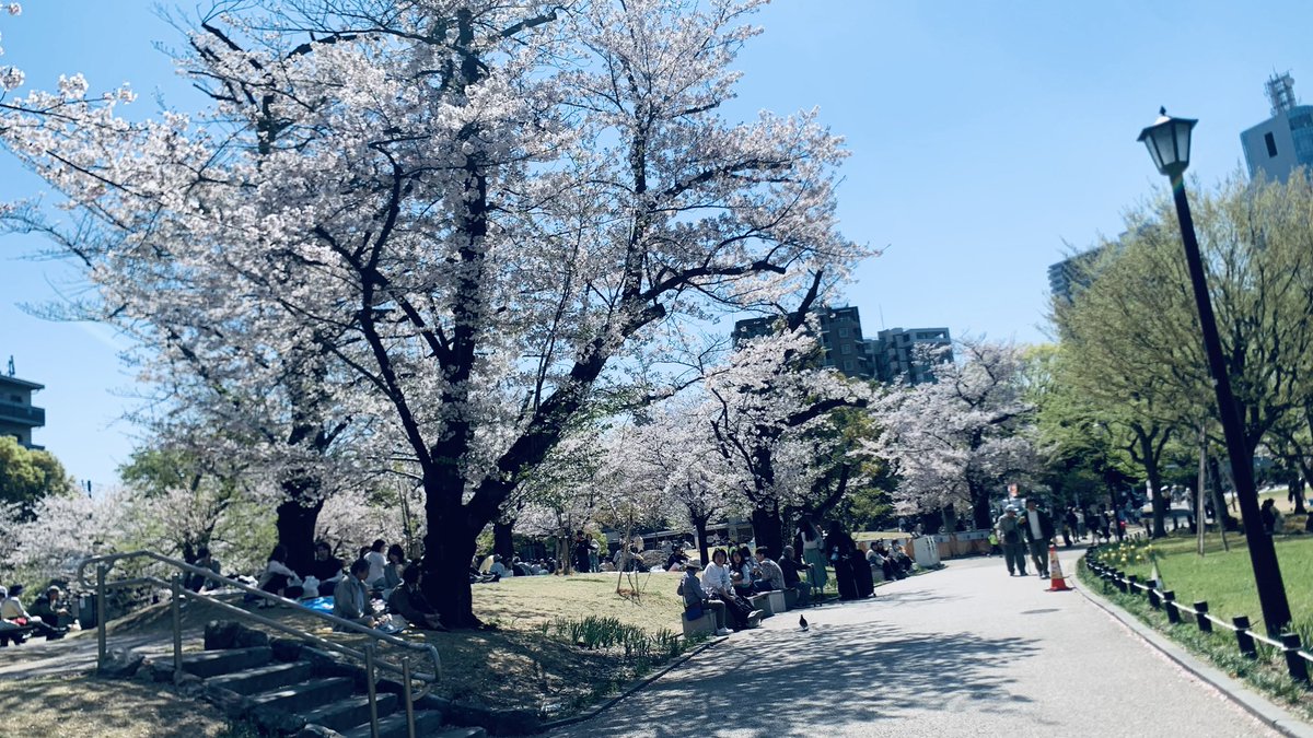 百雲千宵 Mogumo Chiyoi☁️🌕 tweet media