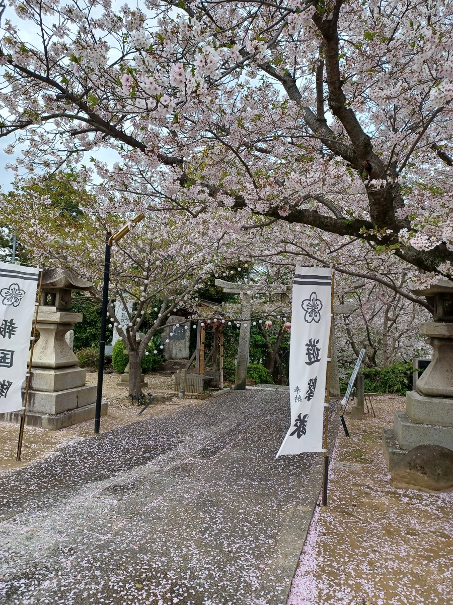 藤島 武士 tweet media