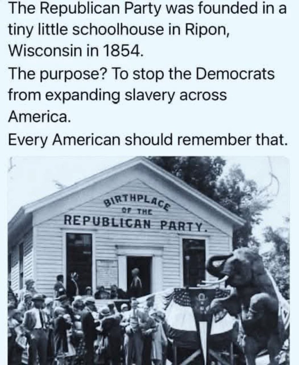 Rightwingz tweet media