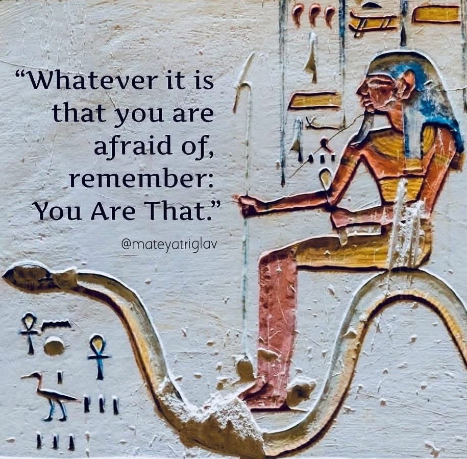 🧬Maxpein🧬 tweet media