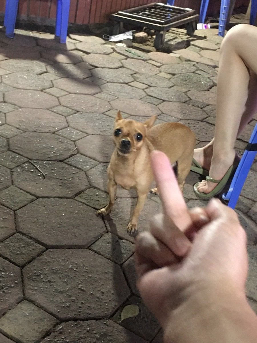 Rice 🔶 ₿N tweet media