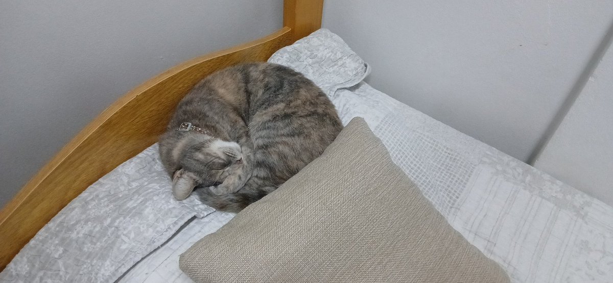 ୭ ݁ 𓈒 ꒰ Ellie ❤︎ Lιɳ Lie ꒱ ݁ ~ tweet media