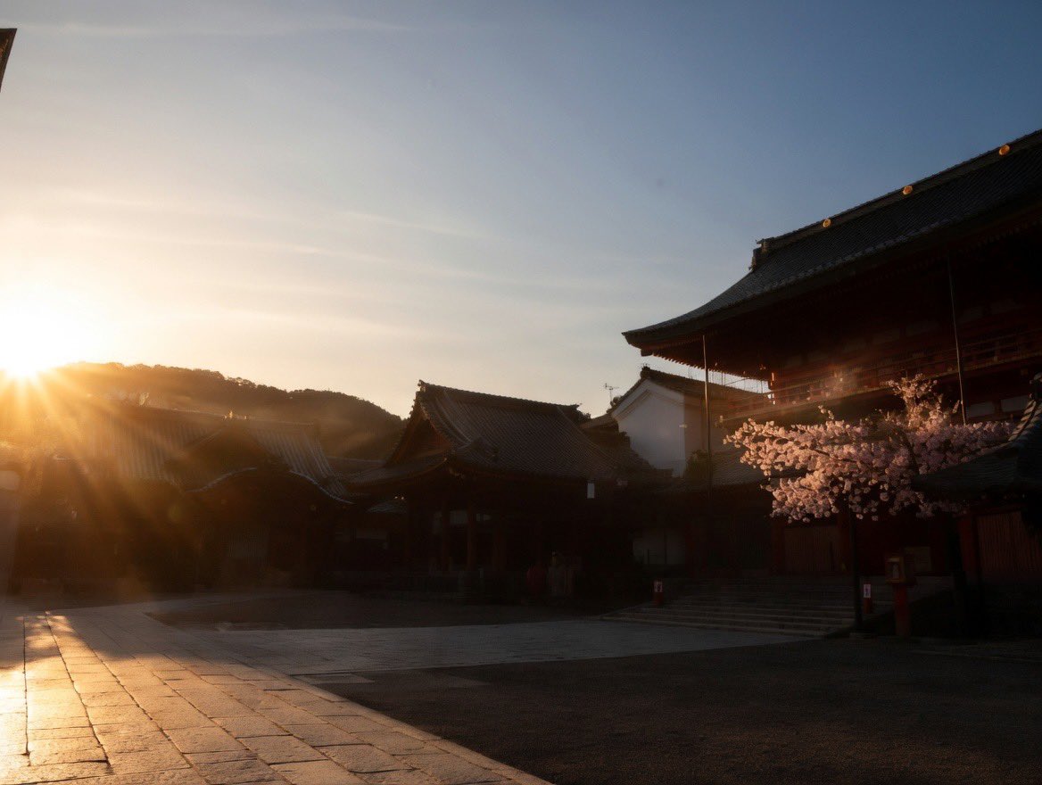 「八坂の暁 ―素戔嗚命と天照大神の因縁
桜光に宿る大国主の和御魂」

朝焼けに染まる八坂神社。  
桜と石畳が導く、神話の始まり。  

1/6 #八坂の暁