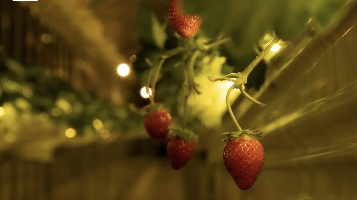 俺/コスパ最高のホテル&サウナ tweet media