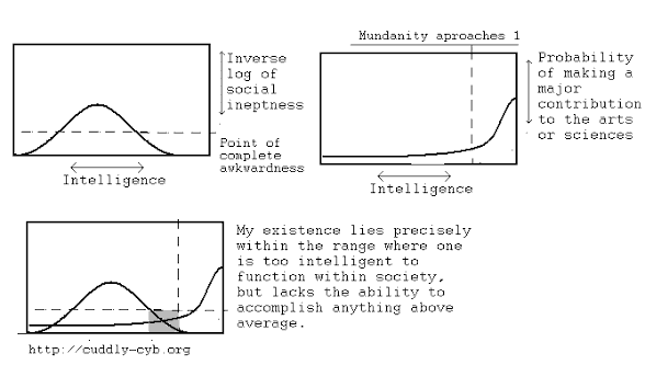 SearchingForTheMonarch tweet media