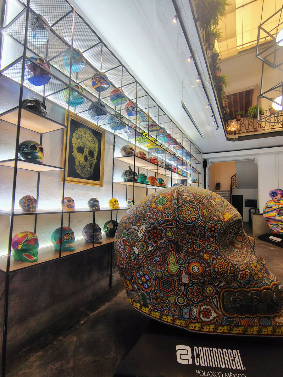 🦻🤟🏼Ellie Villarreal tweet media