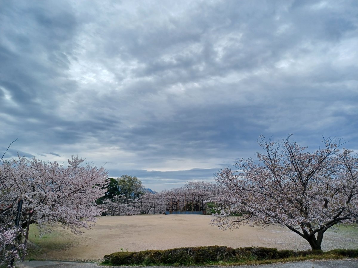 藤島 武士 tweet media