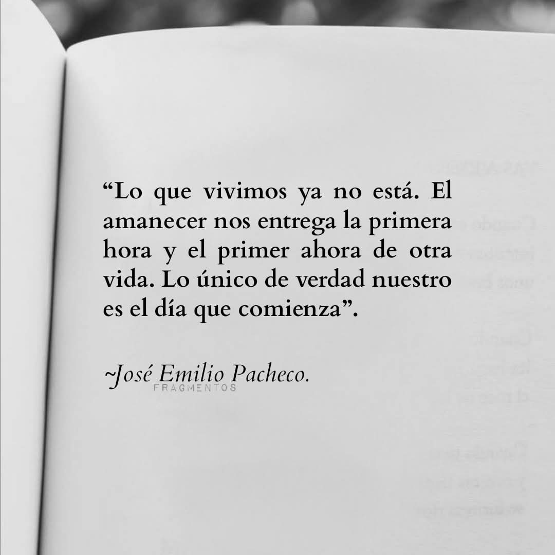 Luis R Prado tweet media