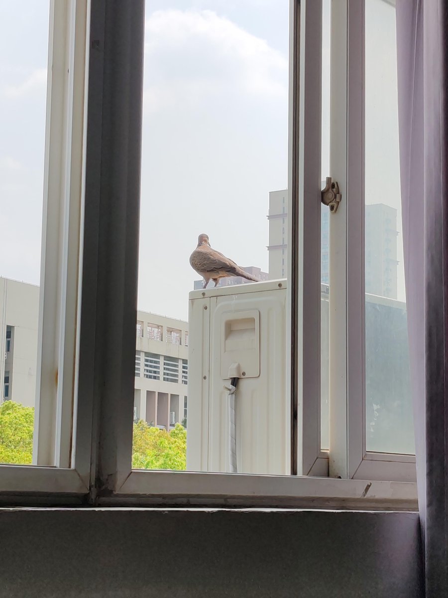 Thanh Minh Ly Thi tweet media