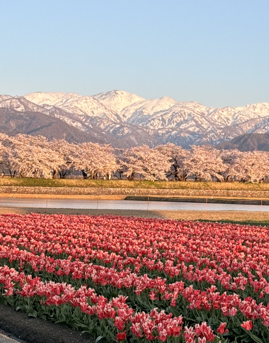 とやま観光ナビ|富山観光 tweet media