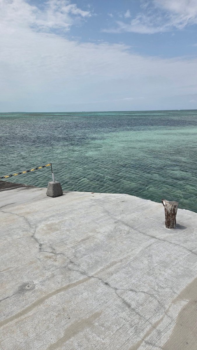 Smooooth sayon➖💙🐈‍⬛✨ tweet media