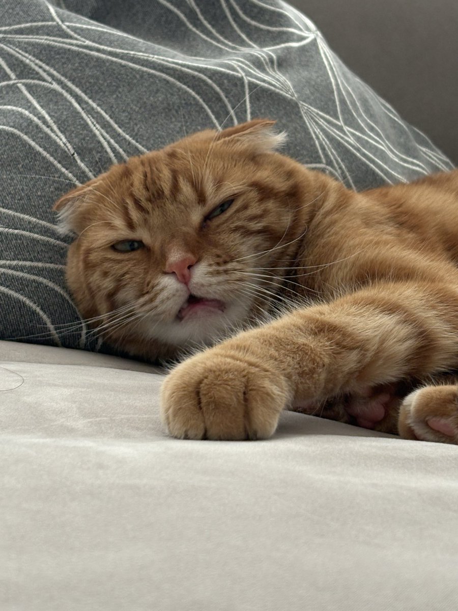 7年目ナースのわびちゃん𓁟 tweet media