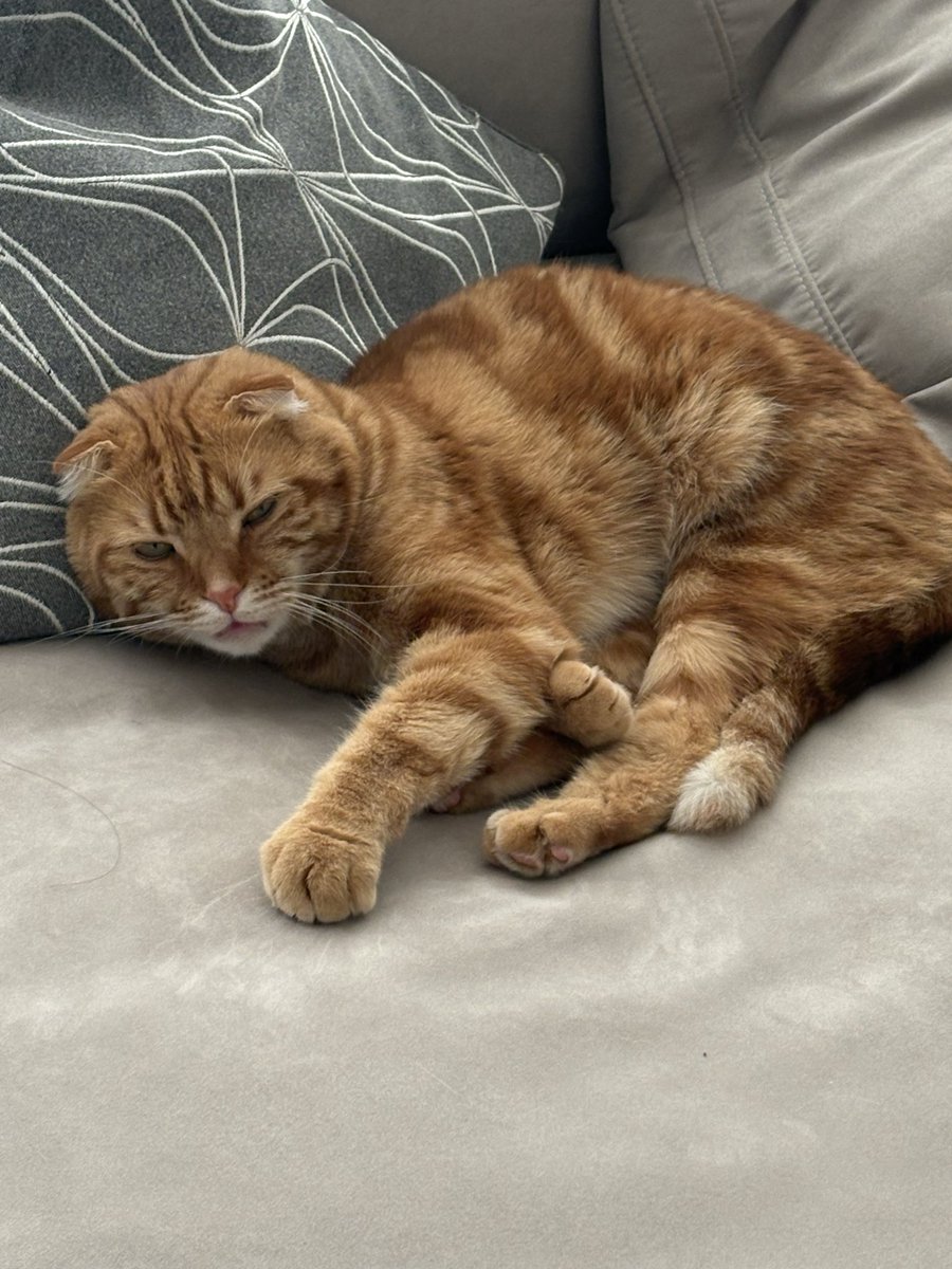 7年目ナースのわびちゃん𓁟 tweet media