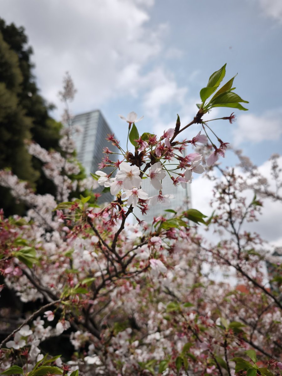 いぬつか tweet media