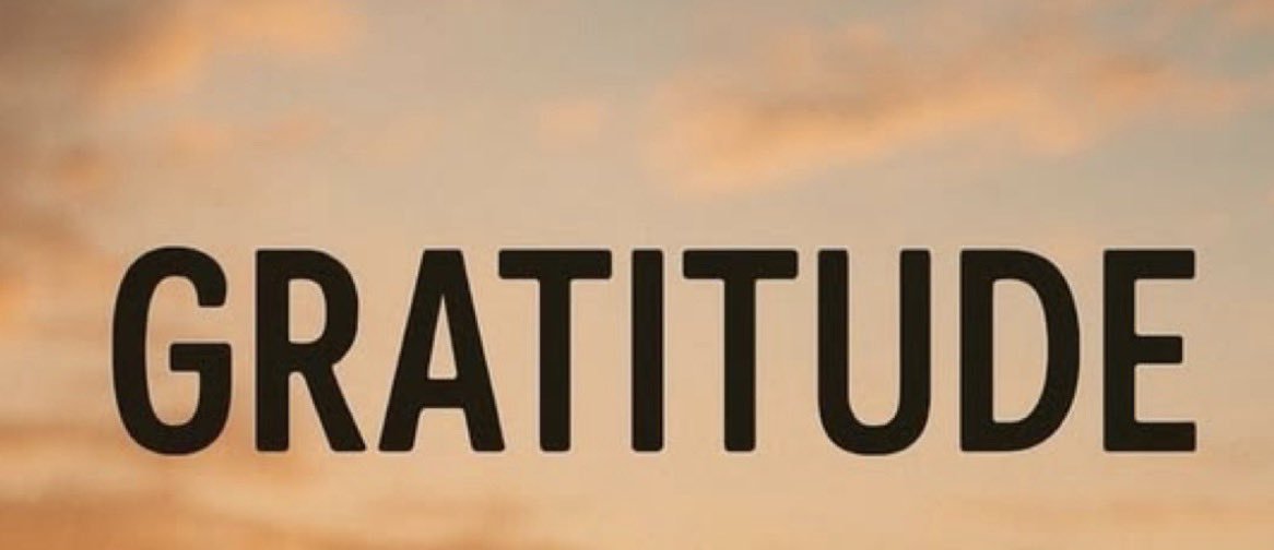 Faith Michael CFC🦋🦋🦋 tweet media