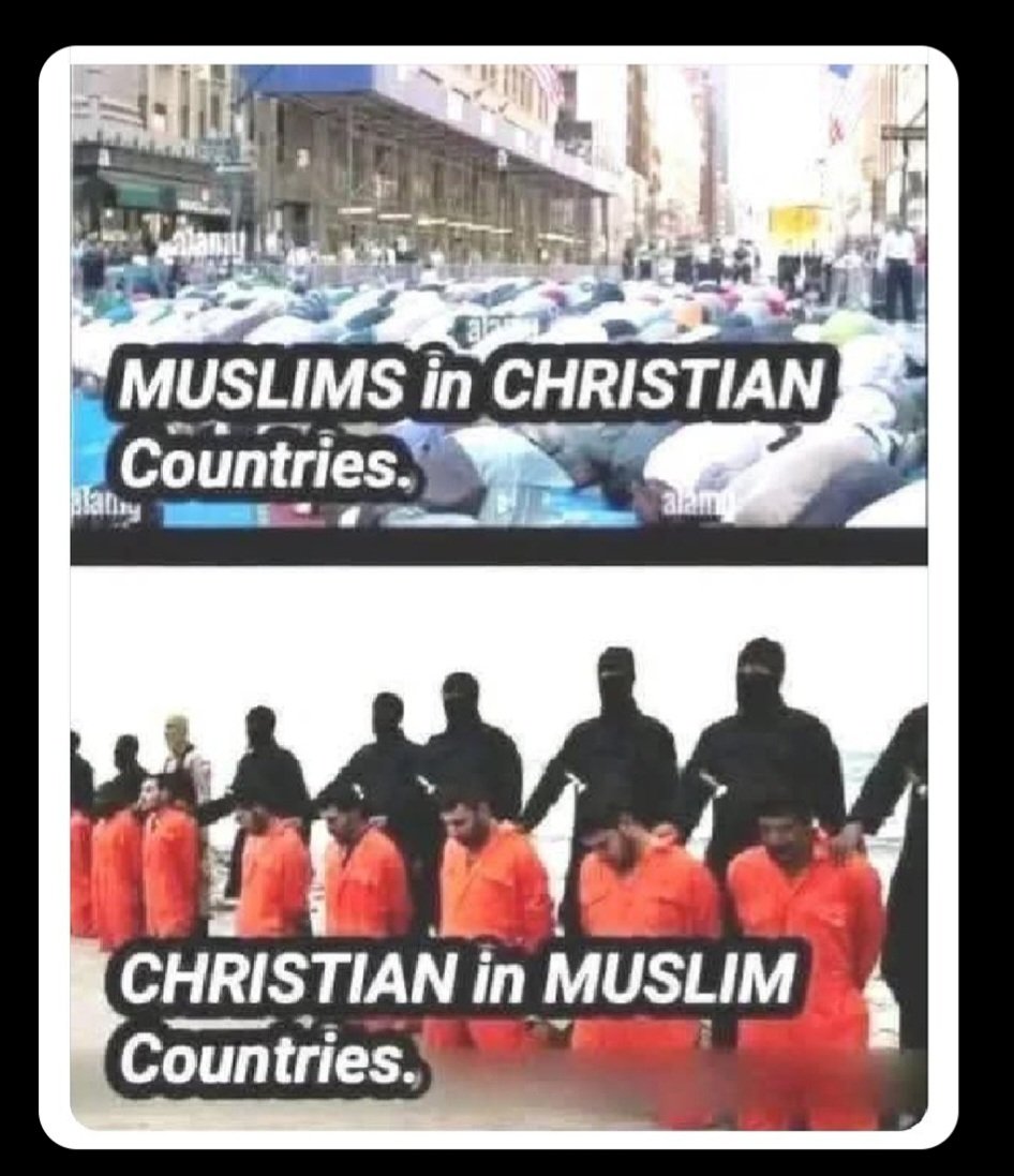 מגן ימני Gemini tweet media