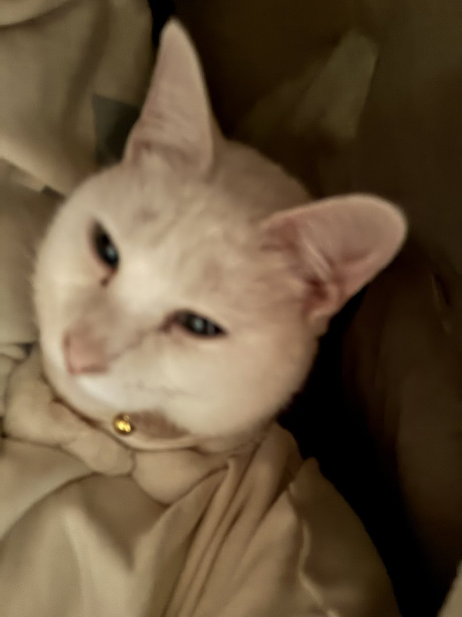 クリエイターズハウス雨の岩戸＠小倉北区長浜町/カフェ/フリースペース/音楽/芸術 tweet media