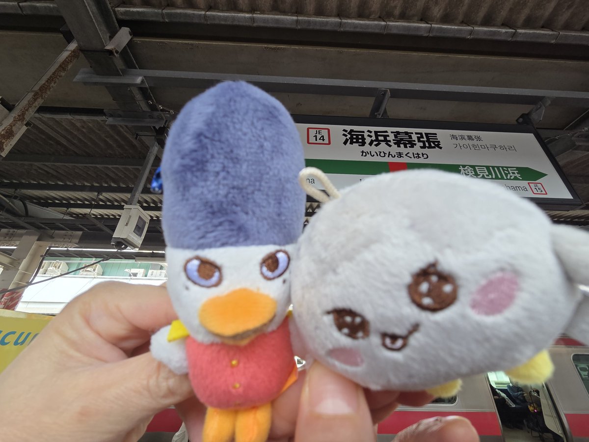 copo（こぽ）♡(•ө•)♡ tweet media