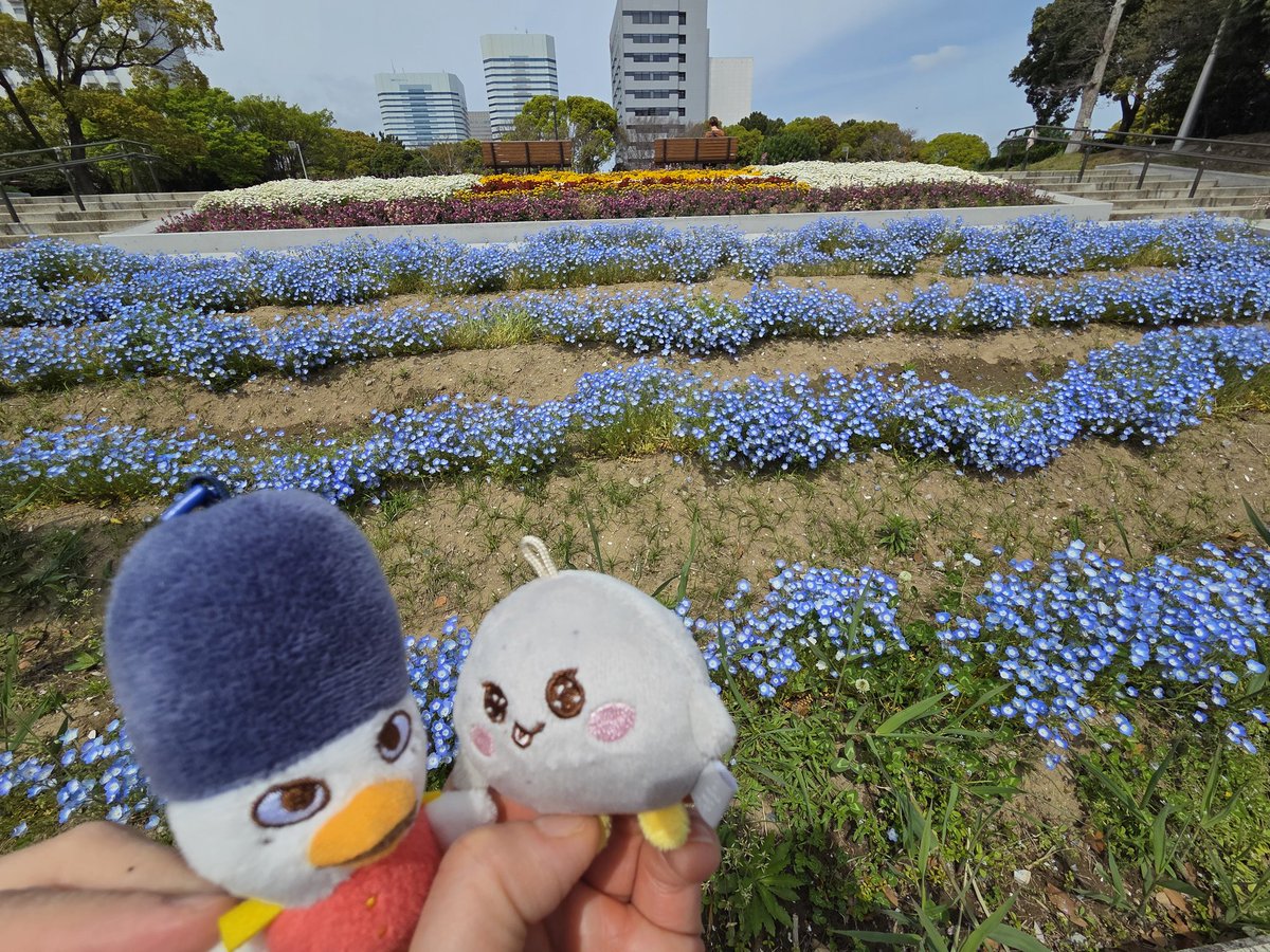 copo（こぽ）♡(•ө•)♡ tweet media