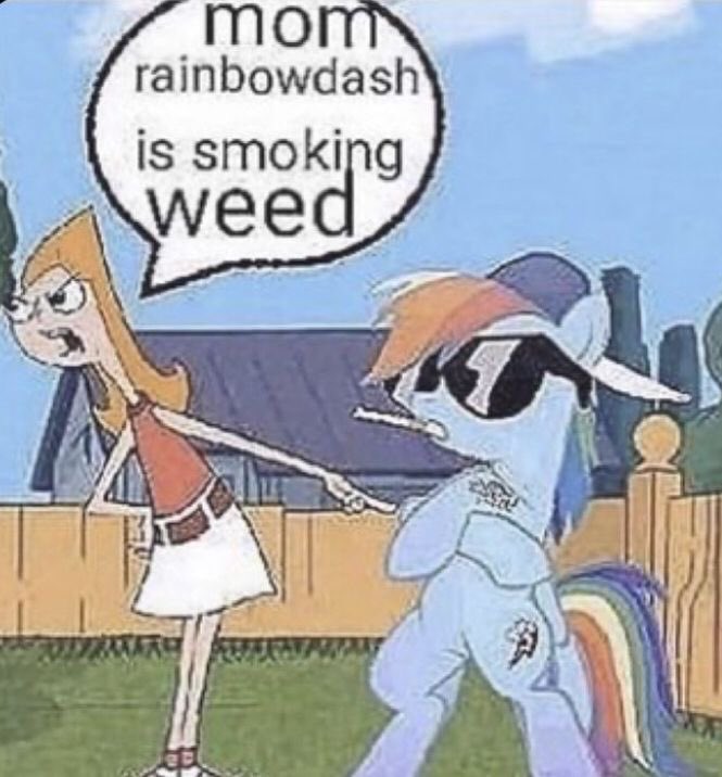 ᵎᵎ kitty is baked ᰔ tweet media