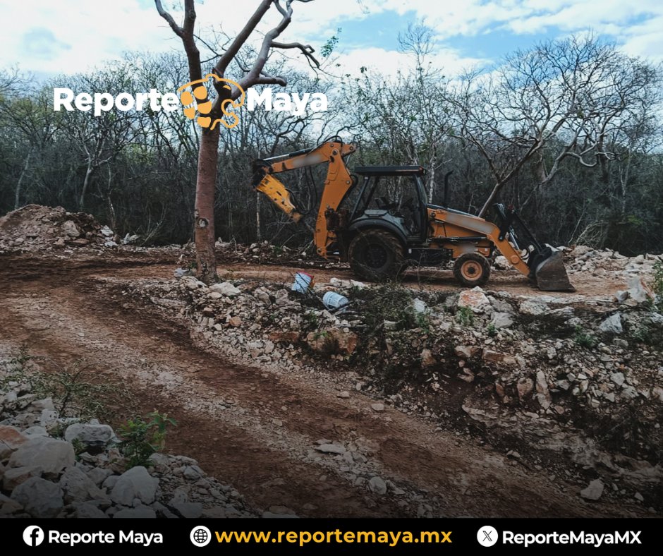 Reporte Maya tweet media