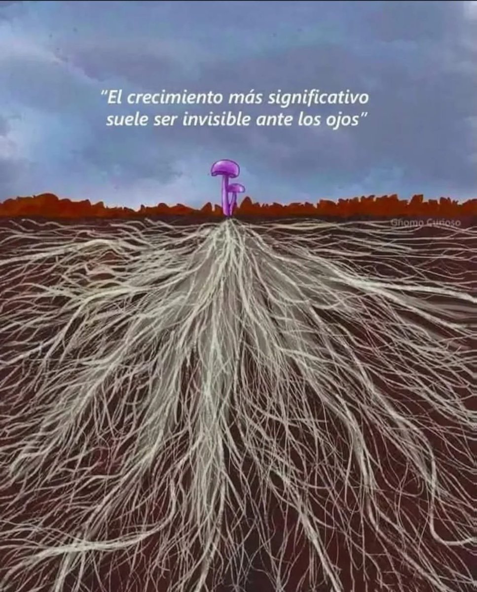 PropositoyVida's tweet photo. https://t.co/l9PoWLXDNf