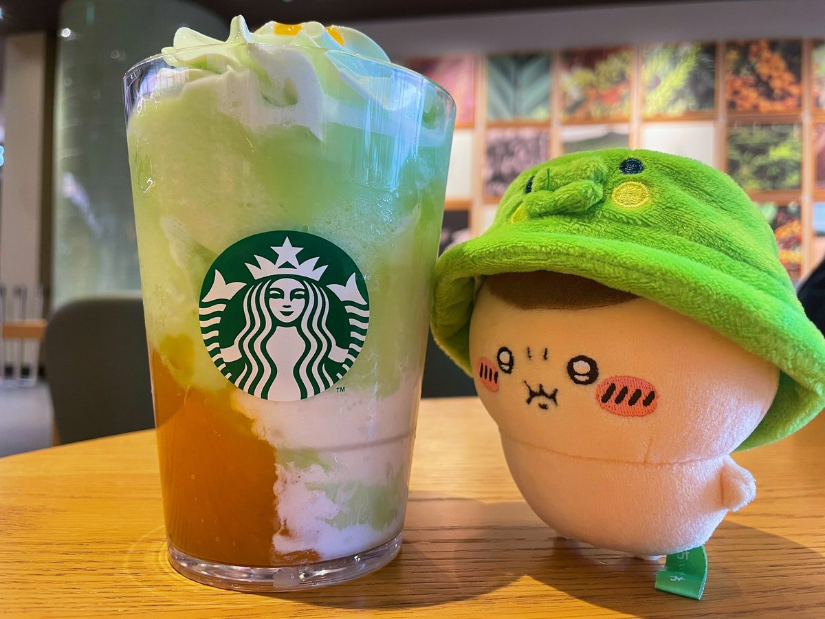 ねこ柱🐾໊ tweet media