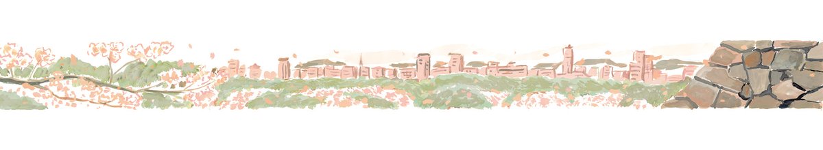 #soda_m #illustration #illustrator #art #painting #sakura