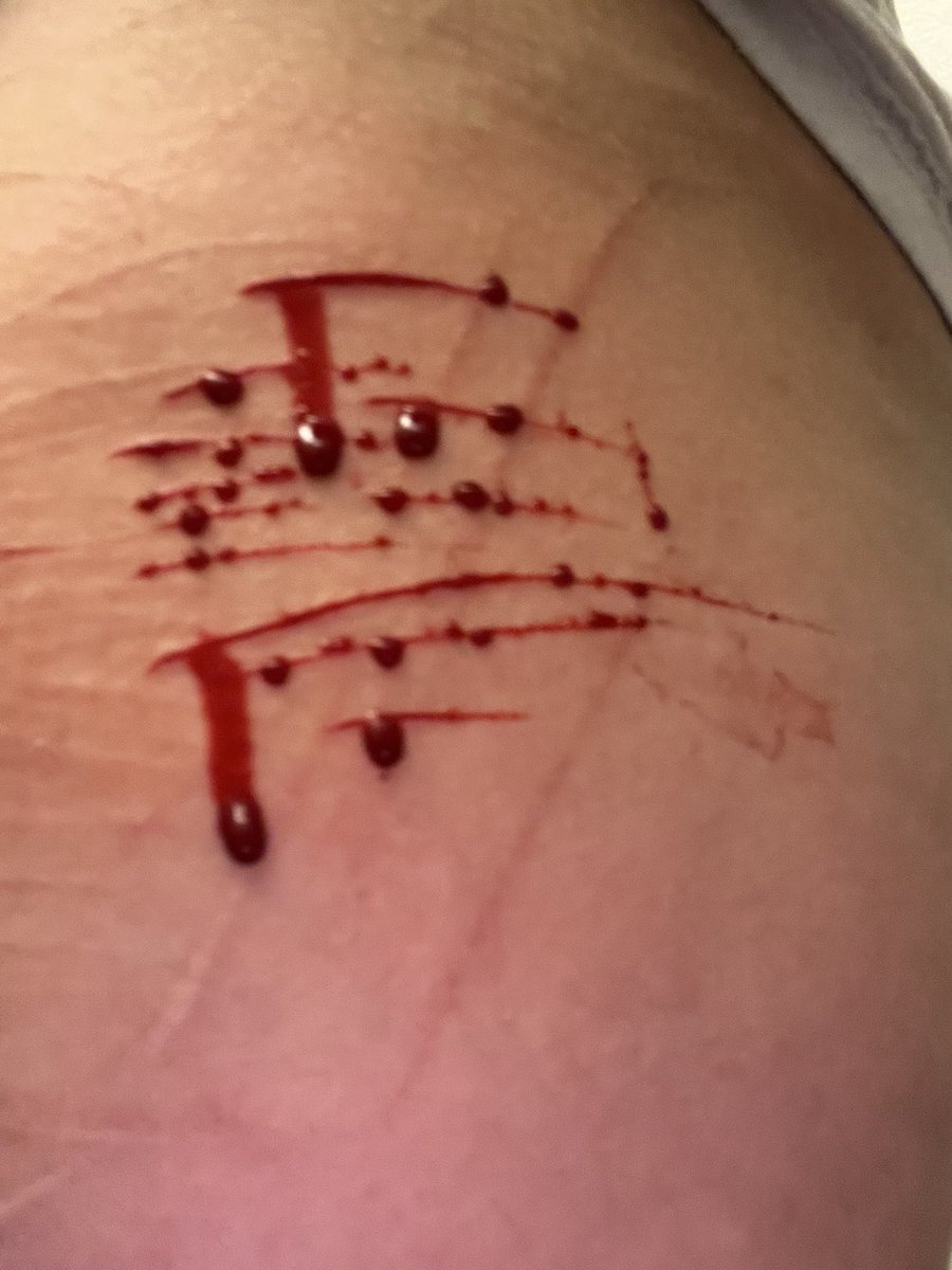 sei ৴ maomao tweet media