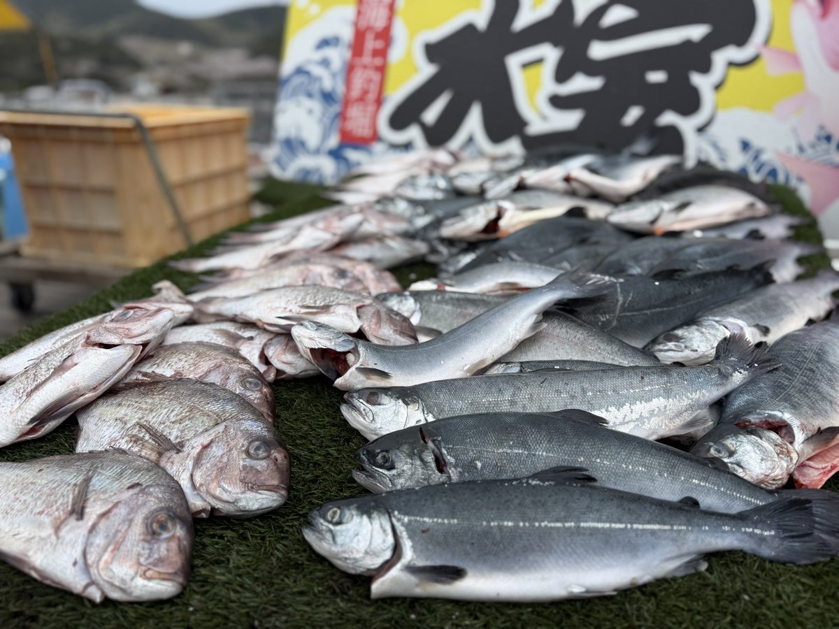 宮尾信次郎 tweet media