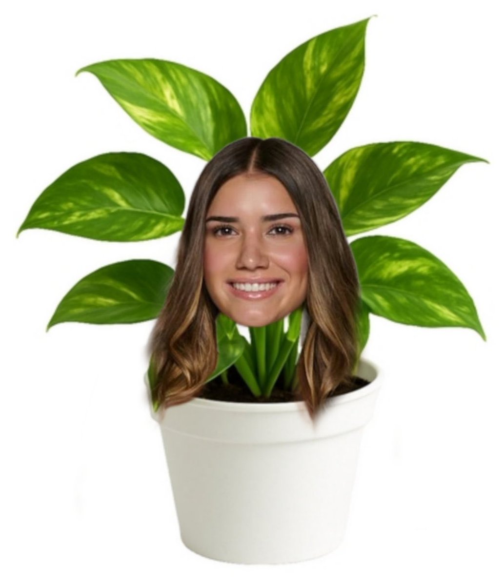 thiiagovaldezz's tweet photo. @GranHermanoAr LOLA AL 9009 CHAU PLANTAS🌱
LOLA AL 9009 CHAU PLANTAS🌱
LOLA AL 9009 CHAU PLANTAS🌱
LOLA AL 9009 CHAU PLANTAS🌱
LOLA AL 9009 CHAU PLANTAS🌱
LOLA AL 9009 CHAU PLANTAS🌱
LOLA AL 9009 CHAU PLANTAS🌱
LOLA AL 9009 CHAU PLANTAS🌱
LOLA AL 9009 CHAU PLANTAS🌱
LOLA AL 9009 CHAU PLANTAS🌱 https://t.co/rSW3x7Vesz