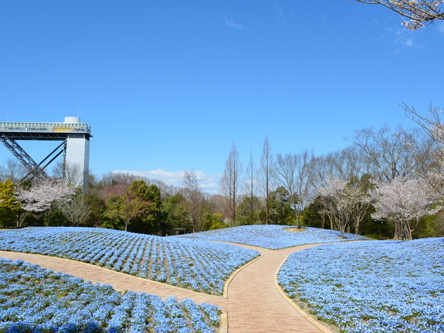 まっぷる編集部【公式】 tweet media