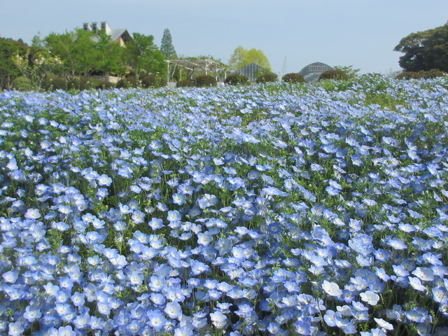 まっぷる編集部【公式】 tweet media