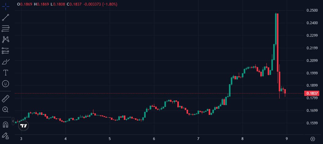 wall2wall.rekt tweet media