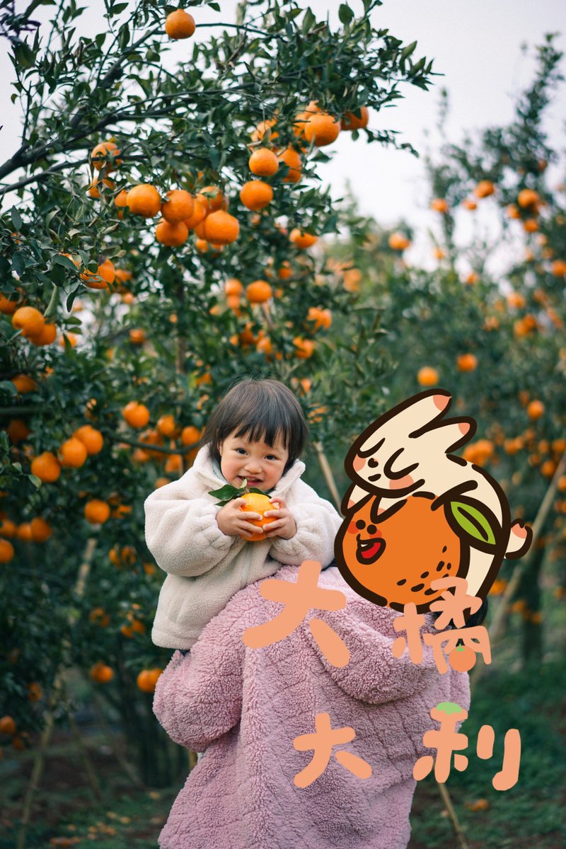 Sidney B. Lillycrop tweet media