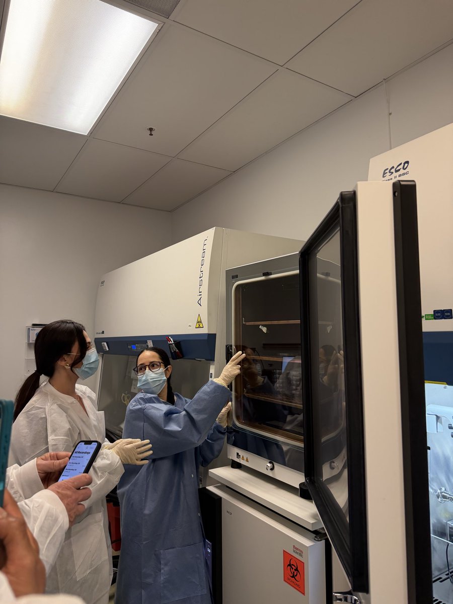 Nat Rubio tweet media