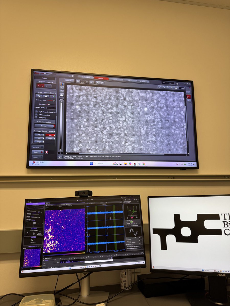 Nat Rubio tweet media