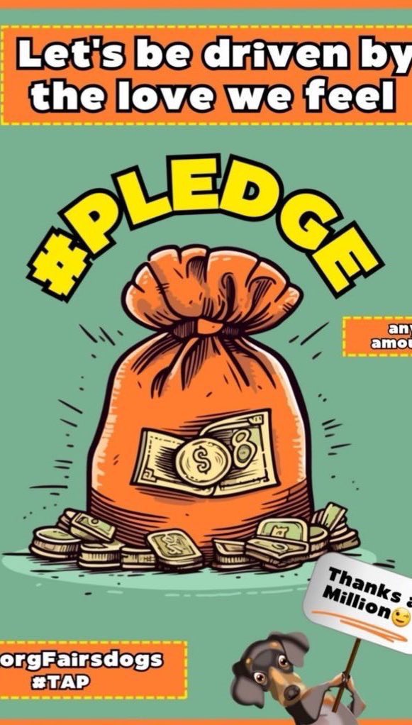 Wynjym's tweet image. DAILY #KILLING @NYCACC IS AN #INSULT TO THE PEOPLE
OF #NYC #7 SWEETIES RE-LISTED FOR TOMORROW 04/09
So little time to save them‼️They need #rescues &amp;amp; #pledges
I know they shove these #dogs thru so fast to find $$
They need life NOT a needle
@NYCMayor @NYCComptroller @SpeakerMenin