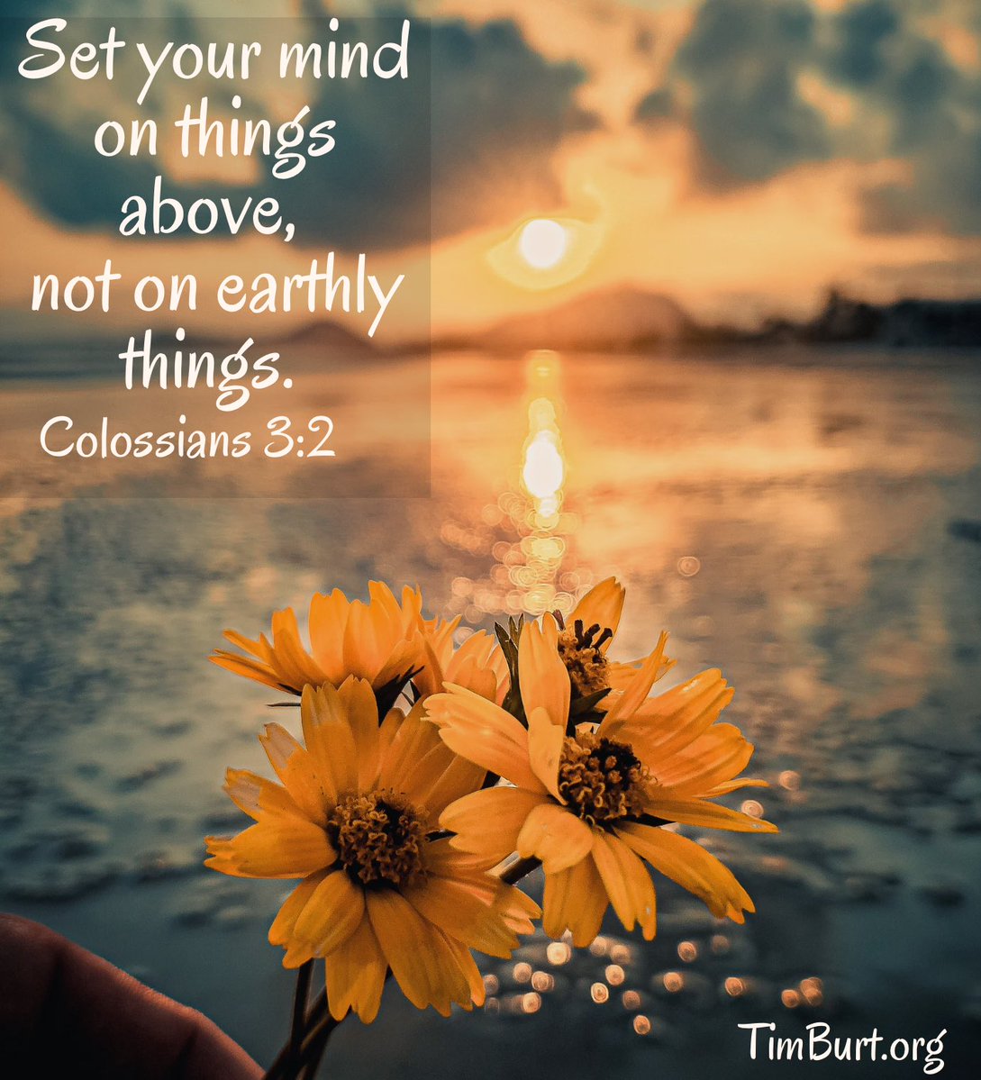 Timothy Burt tweet media