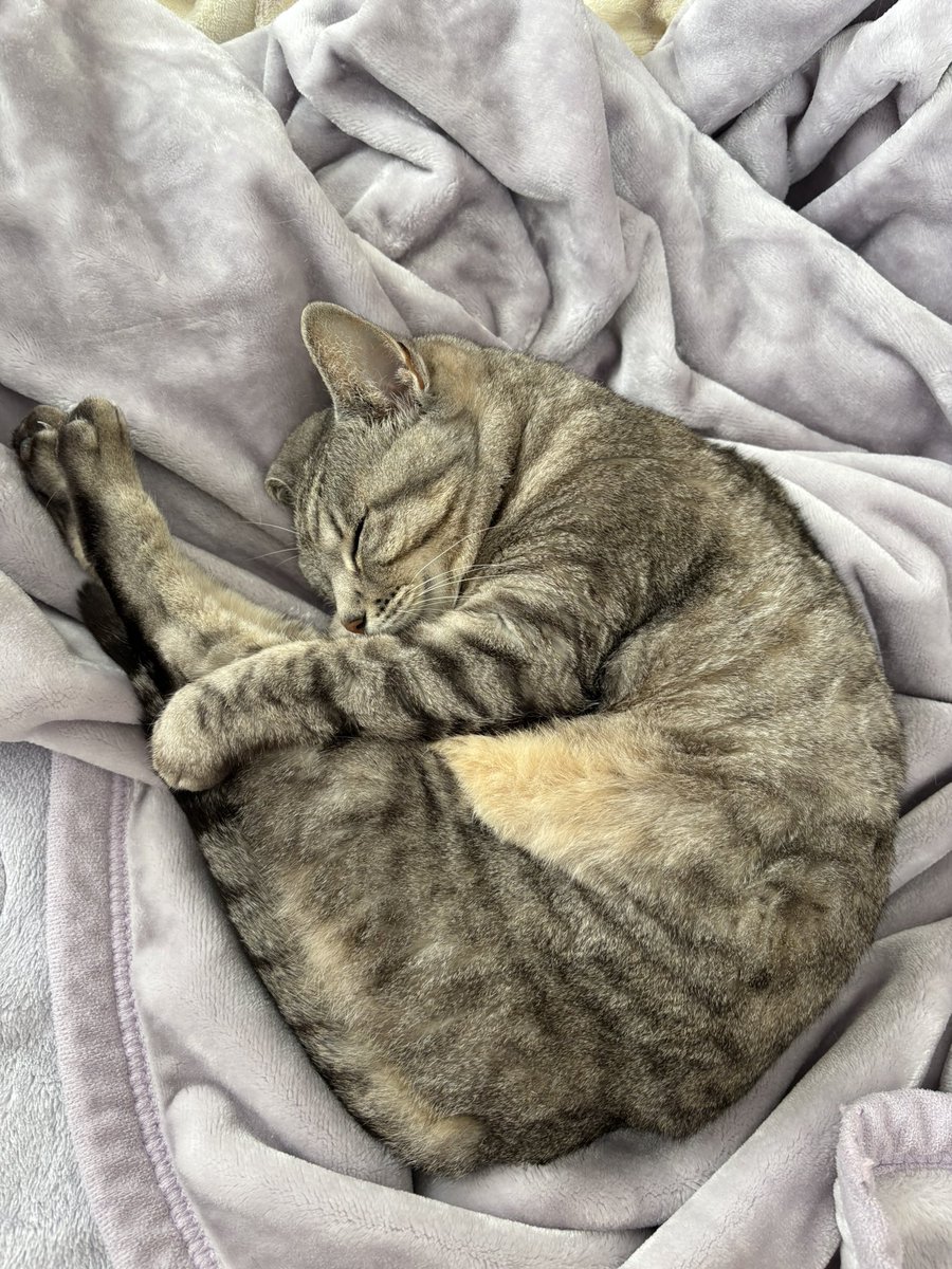 みうさす tweet media